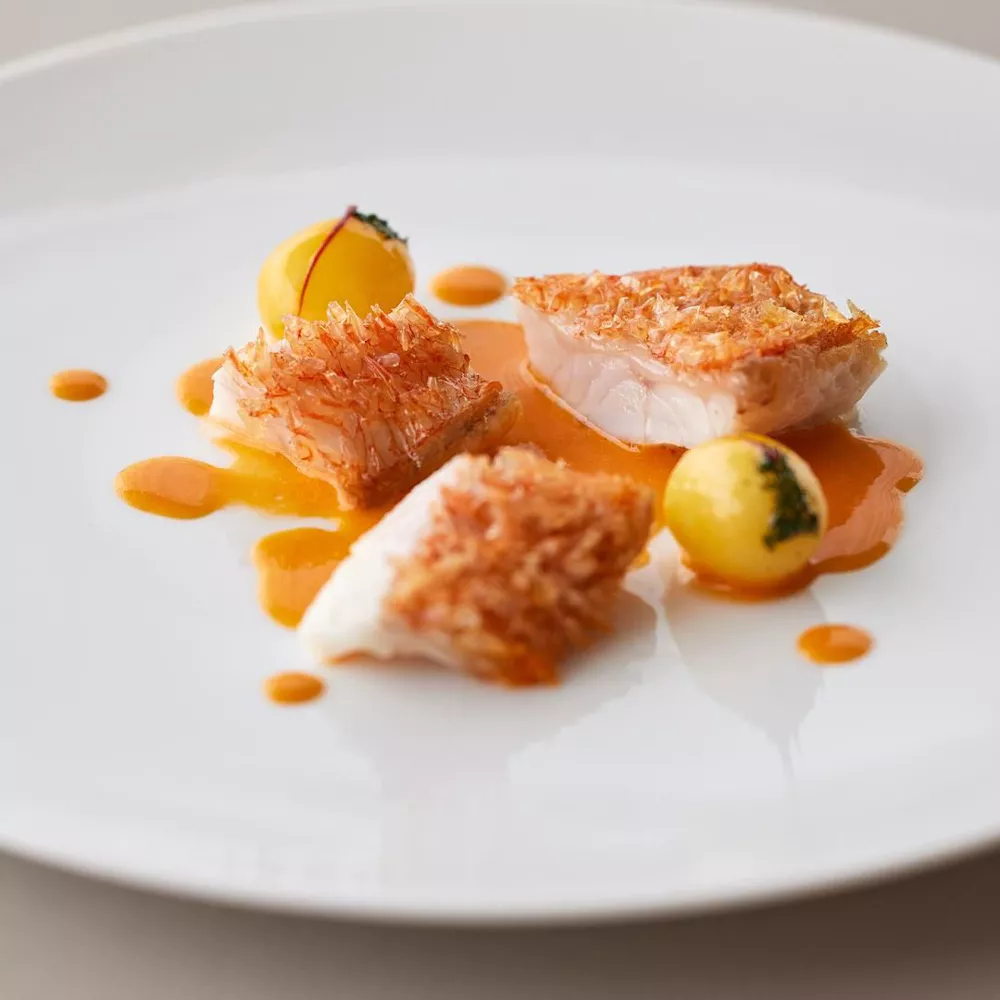 Best Restaurants in Tokyo May 2025 - Sezanne