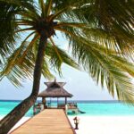 “Luxury Travel Expert Linda McIntosh Joins Alpine Tours in New Zealand”